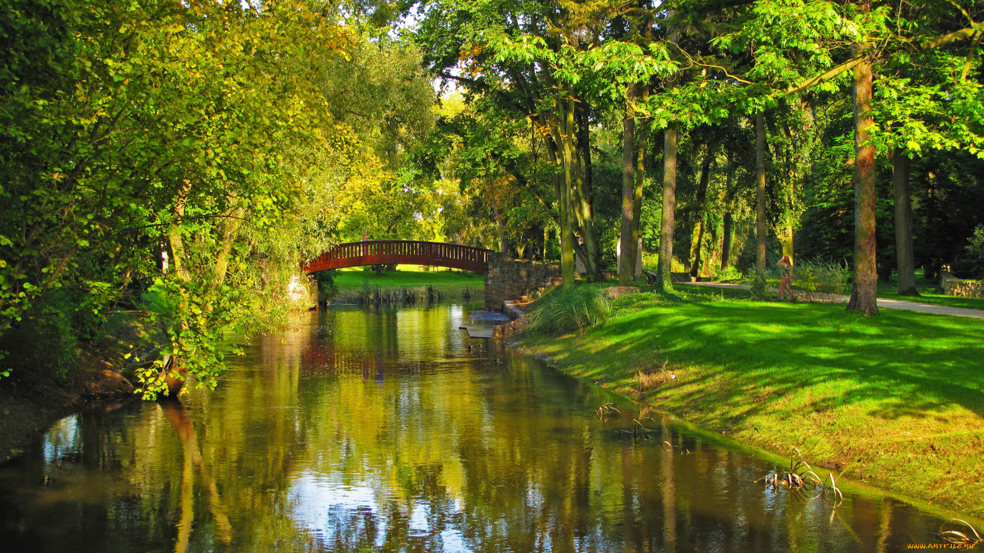 природа, парк, деревья, река, польша, sochaczew, трава