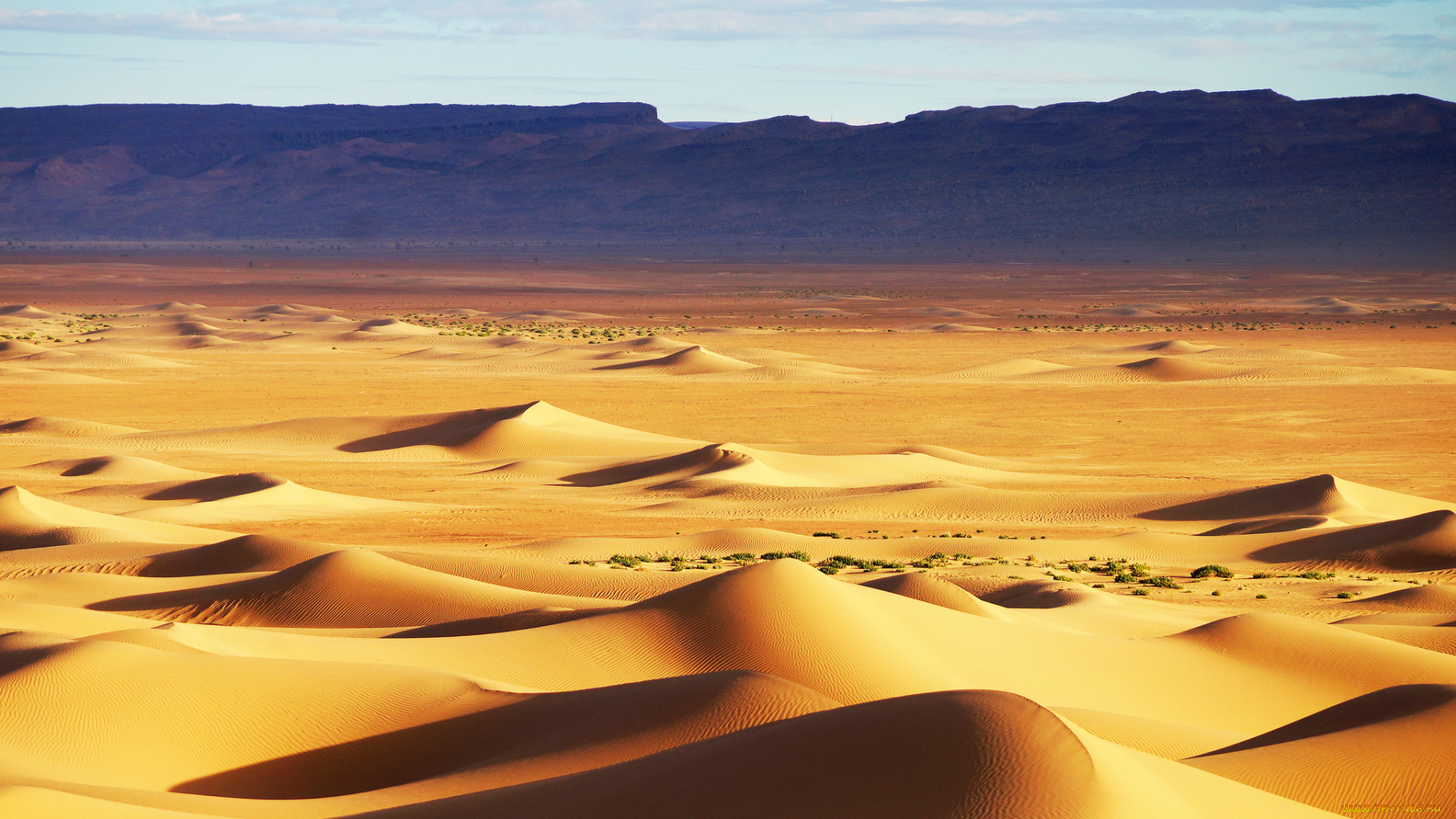 природа, пустыни, небо, холмы, песок, текстура, барханы, дюны, пустыня