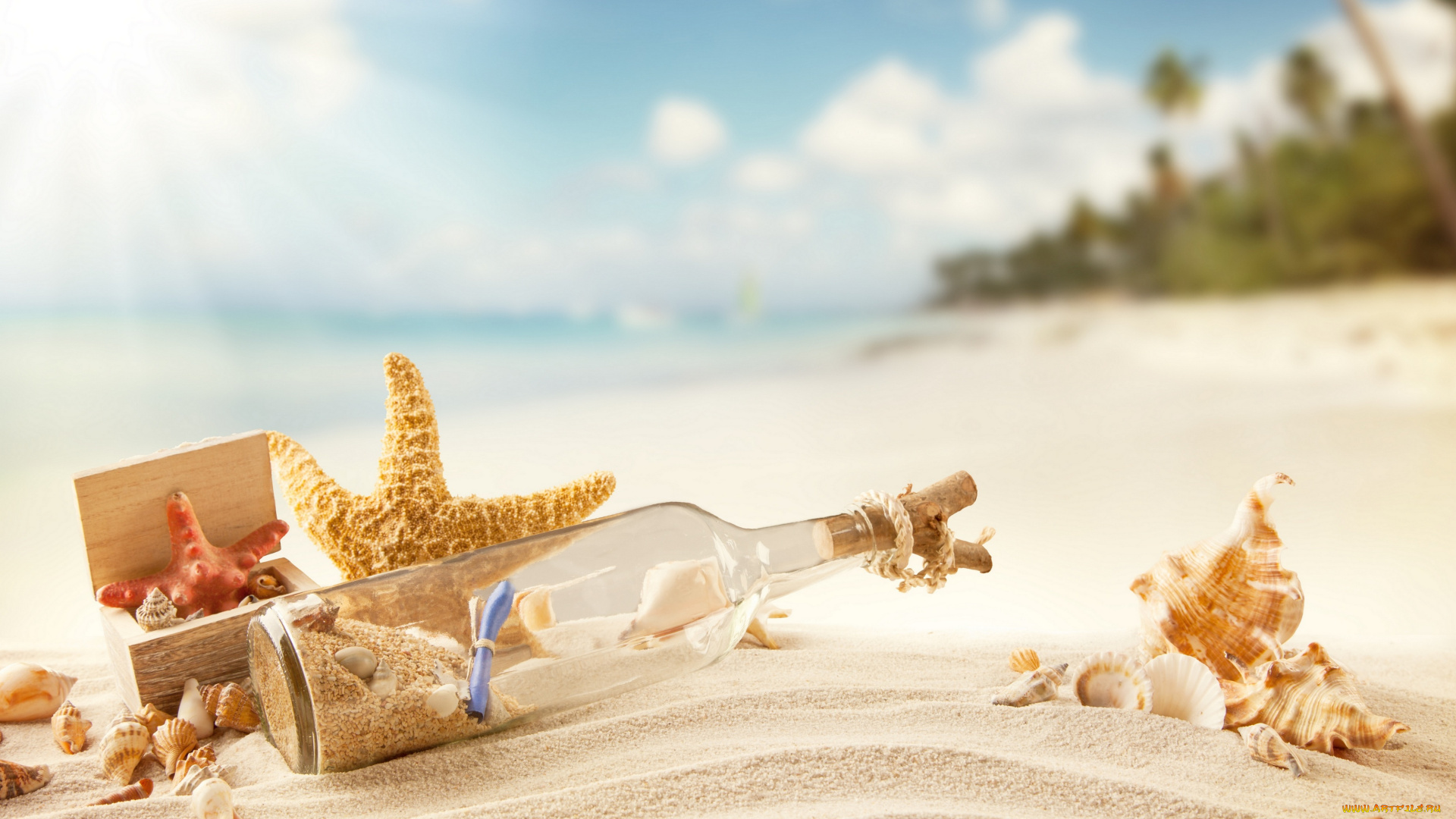 разное, ракушки, , кораллы, , декоративные, и, spa-камни, summer, tropical, vacation, sunshine, beach, sand, bottle, message, seashells, starfish, пляж, песок, лето, море, отдых, солнце, письмо, в, бутылке, берег