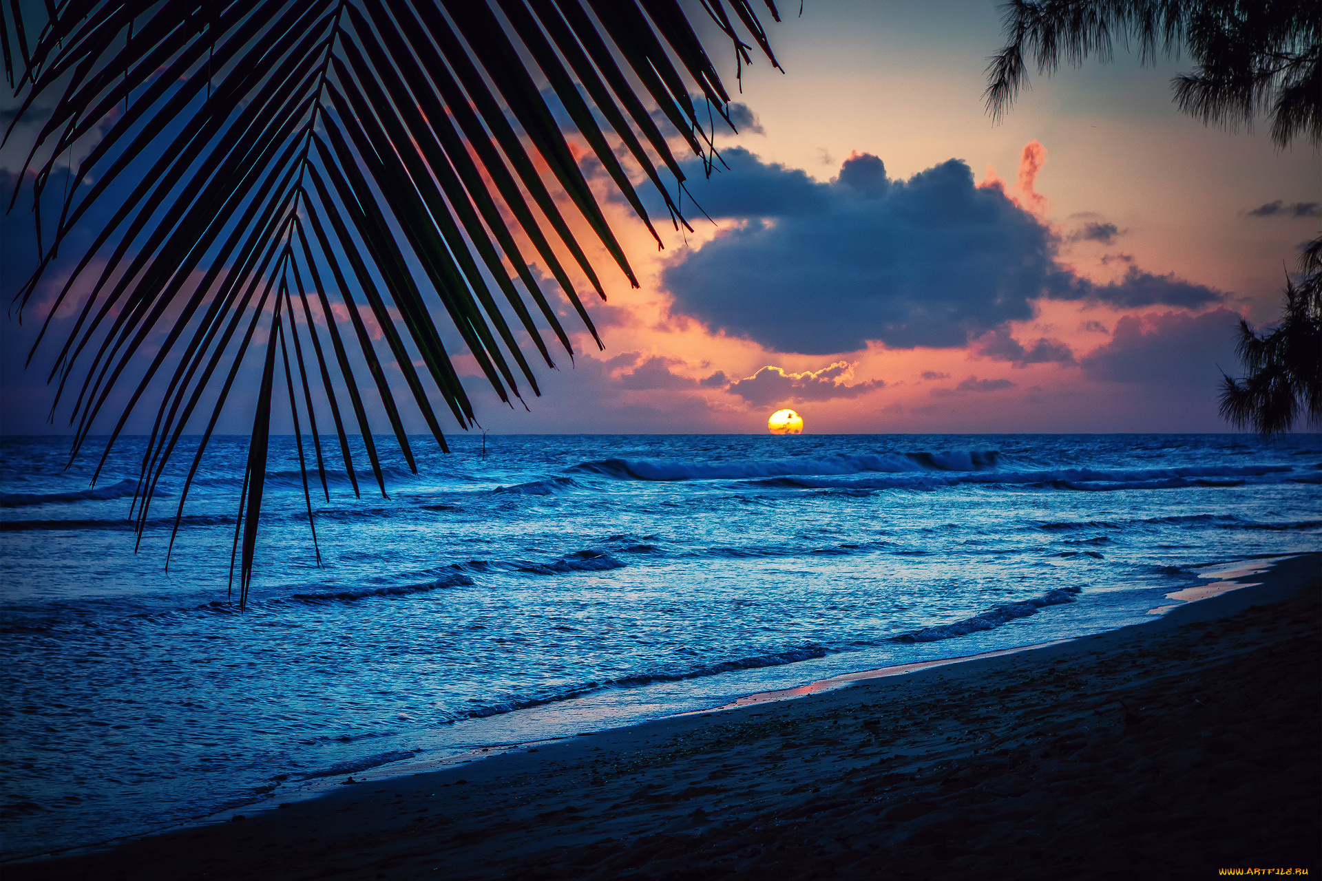 природа, восходы, закаты, пальмы, вечер, силуэт, лист, карибское, море, барбадос, солнце, закат, пляж