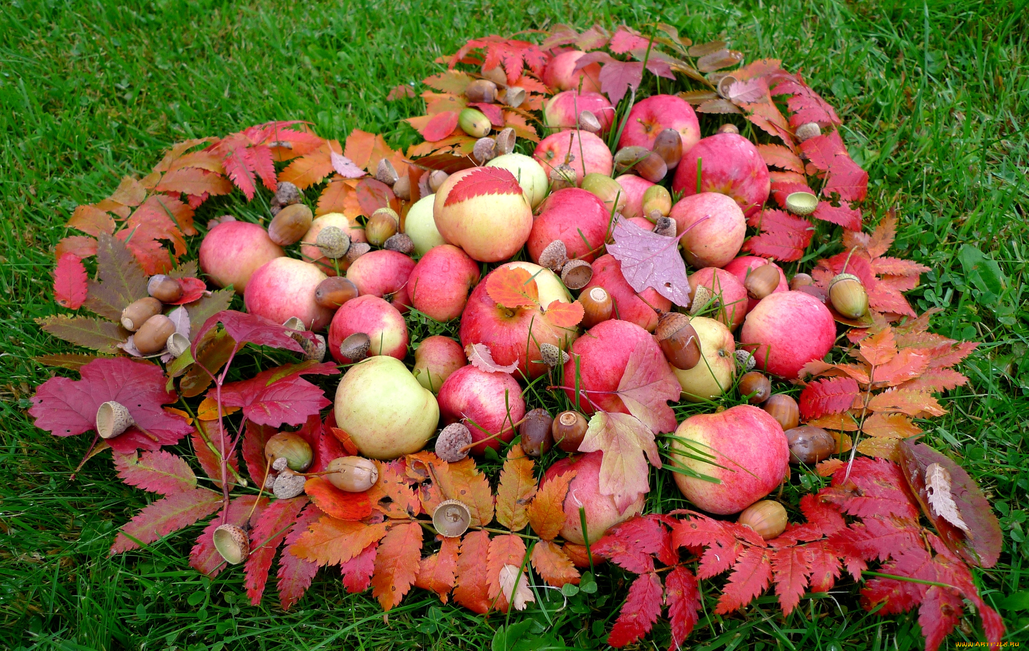 еда, Яблоки, листья, сердце