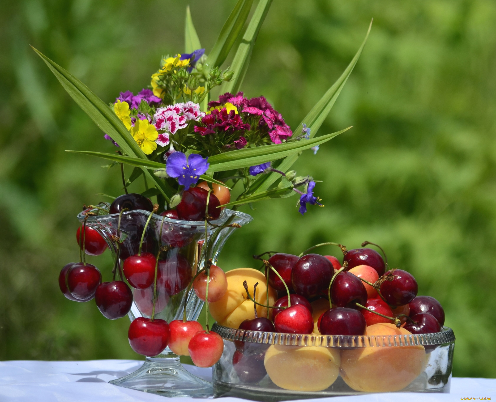 еда, фрукты, , ягоды, черешня, абрикосы, цветы
