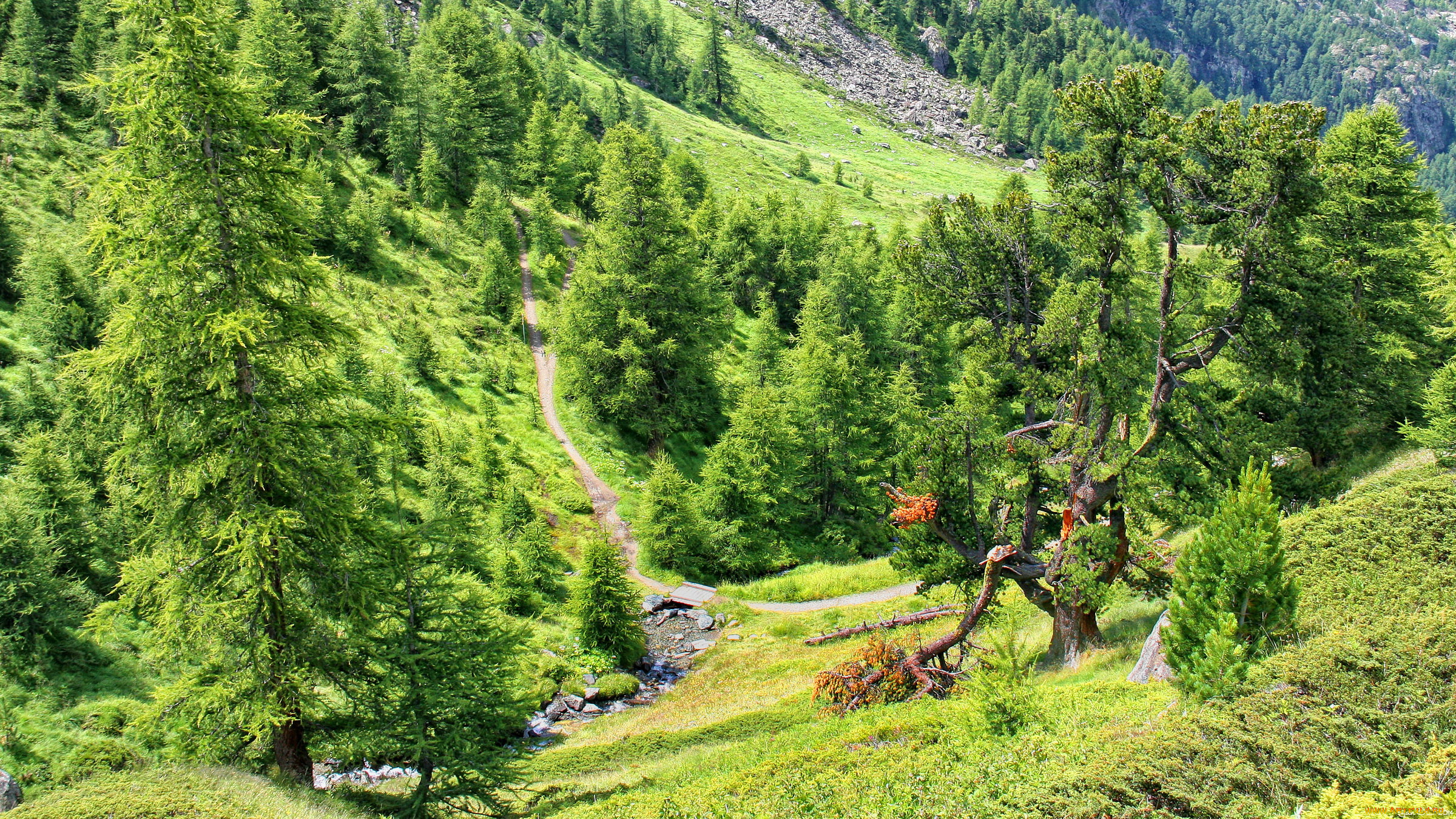 швейцария, церматт, природа, дороги, лес, швейцария, церматт, горы, дорога, пейзаж