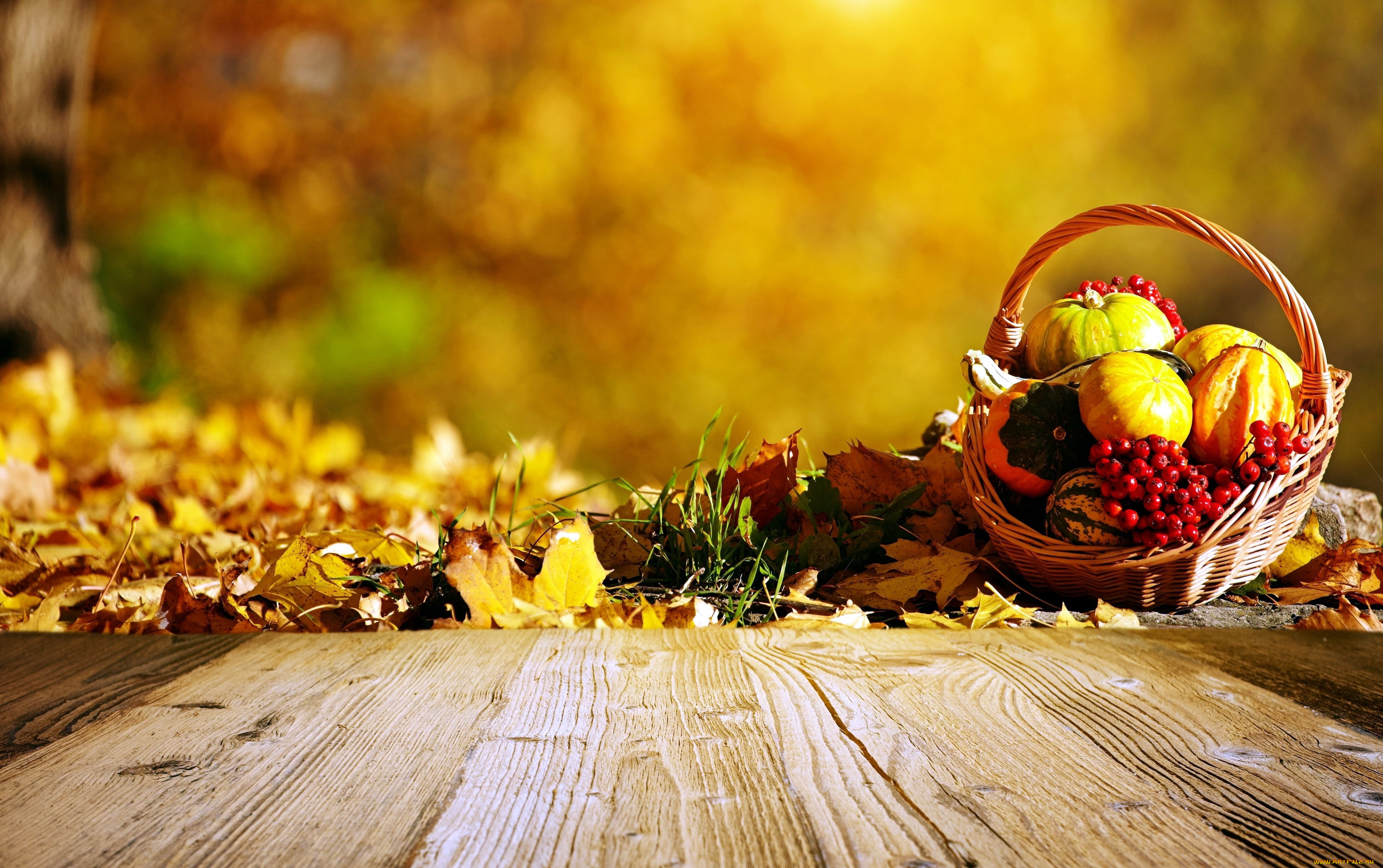 еда, тыква, осень, корзинка, листья