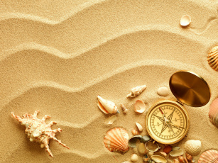 обоя разное, ракушки,  кораллы,  декоративные и spa-камни, песок, компас