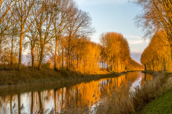 Картинка природа реки озера свет деревья канал