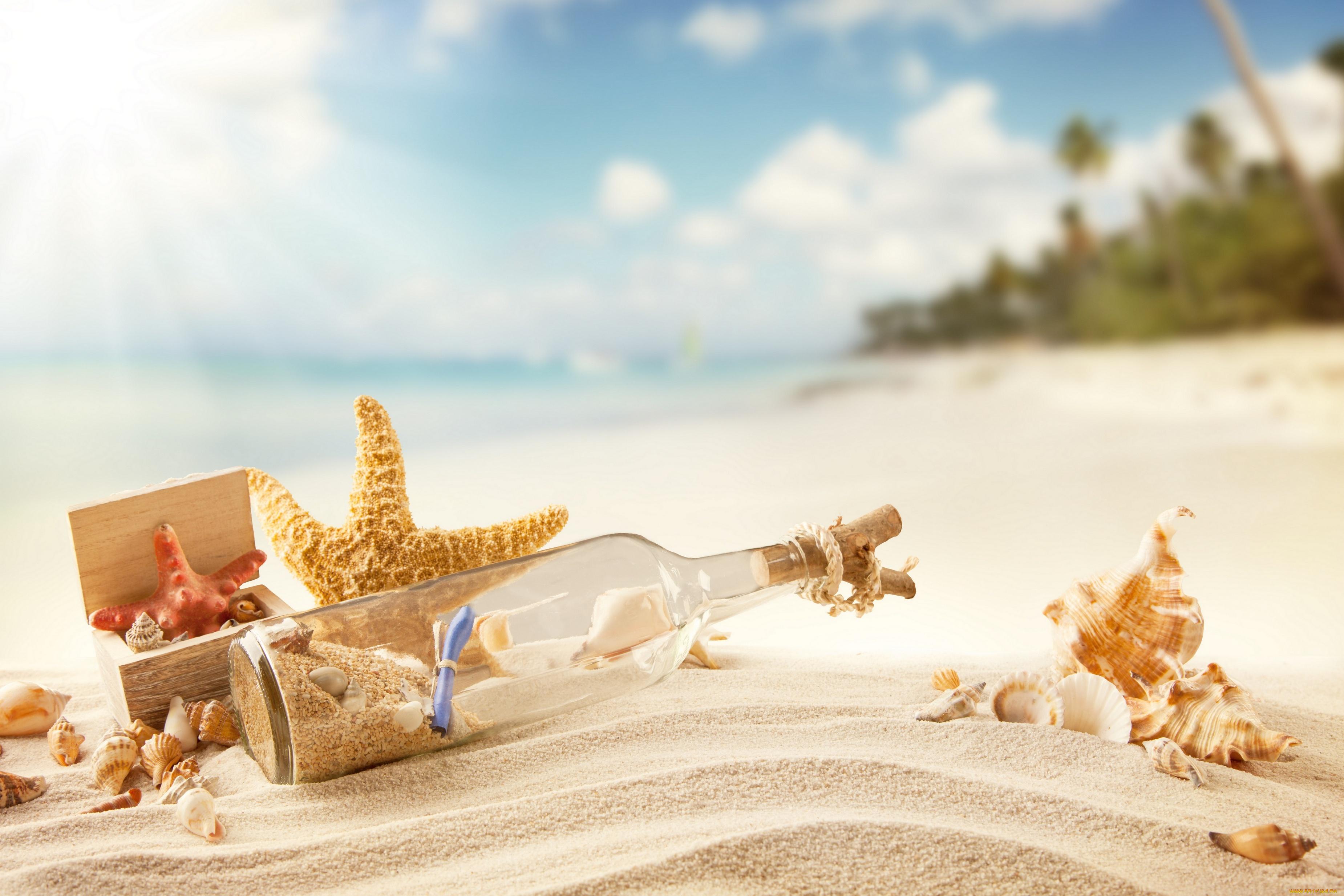 разное, ракушки, , кораллы, , декоративные, и, spa-камни, summer, tropical, vacation, sunshine, beach, sand, bottle, message, seashells, starfish, пляж, песок, лето, море, отдых, солнце, письмо, в, бутылке, берег