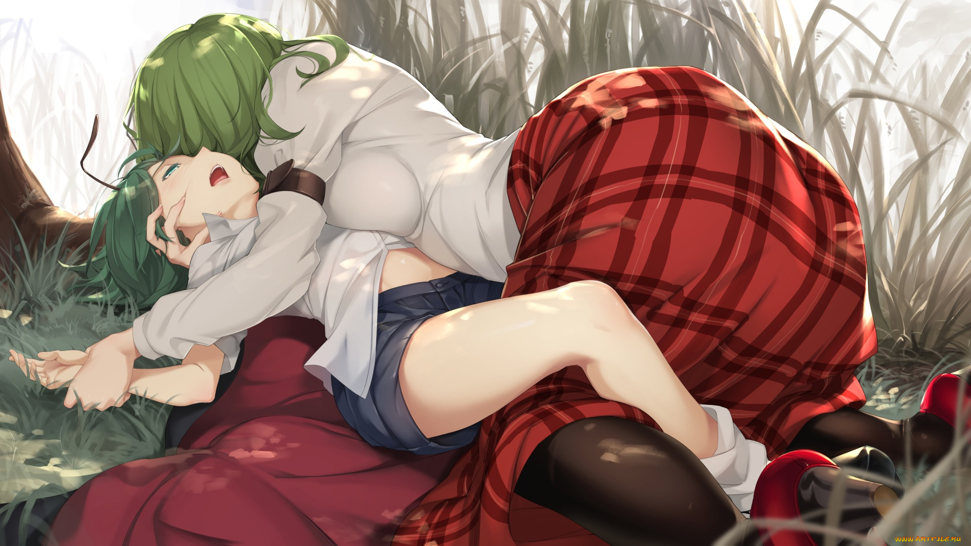 аниме, touhou