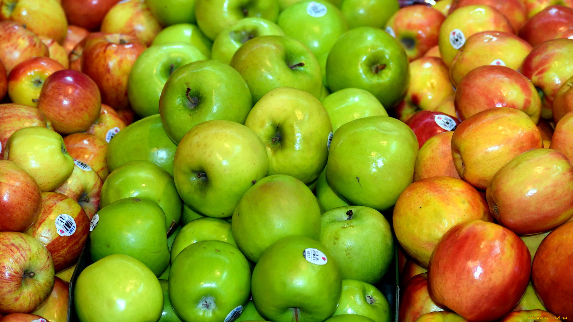 еда, Яблоки, яблоки, много, урожай, ассорти