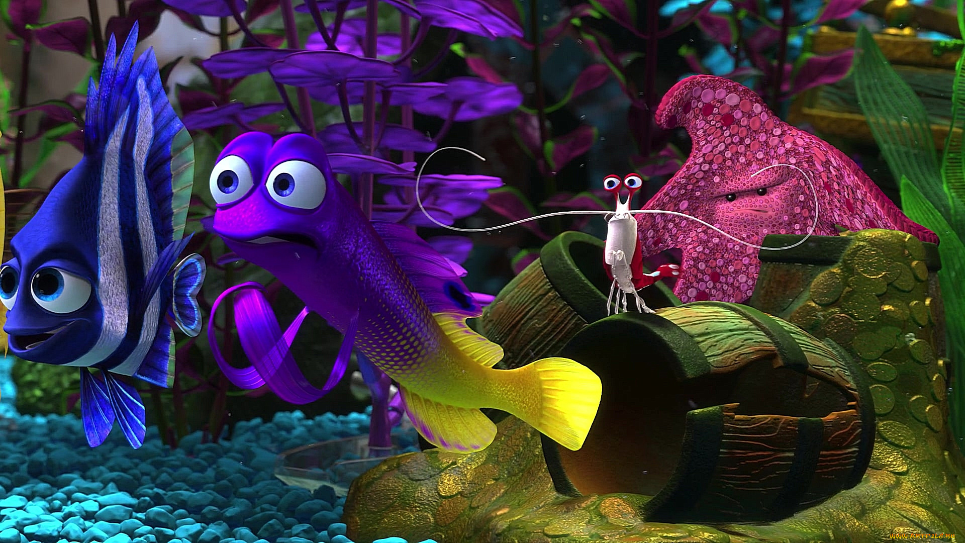 мультфильмы, finding, nemo, водоросли, рак, камешки, рыба