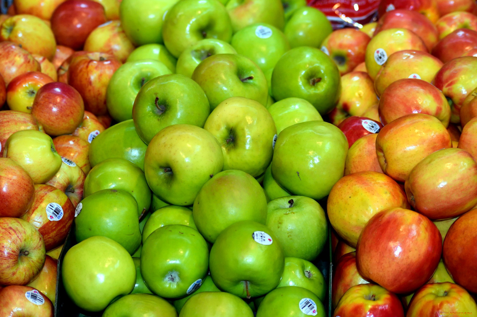 еда, Яблоки, яблоки, много, урожай, ассорти