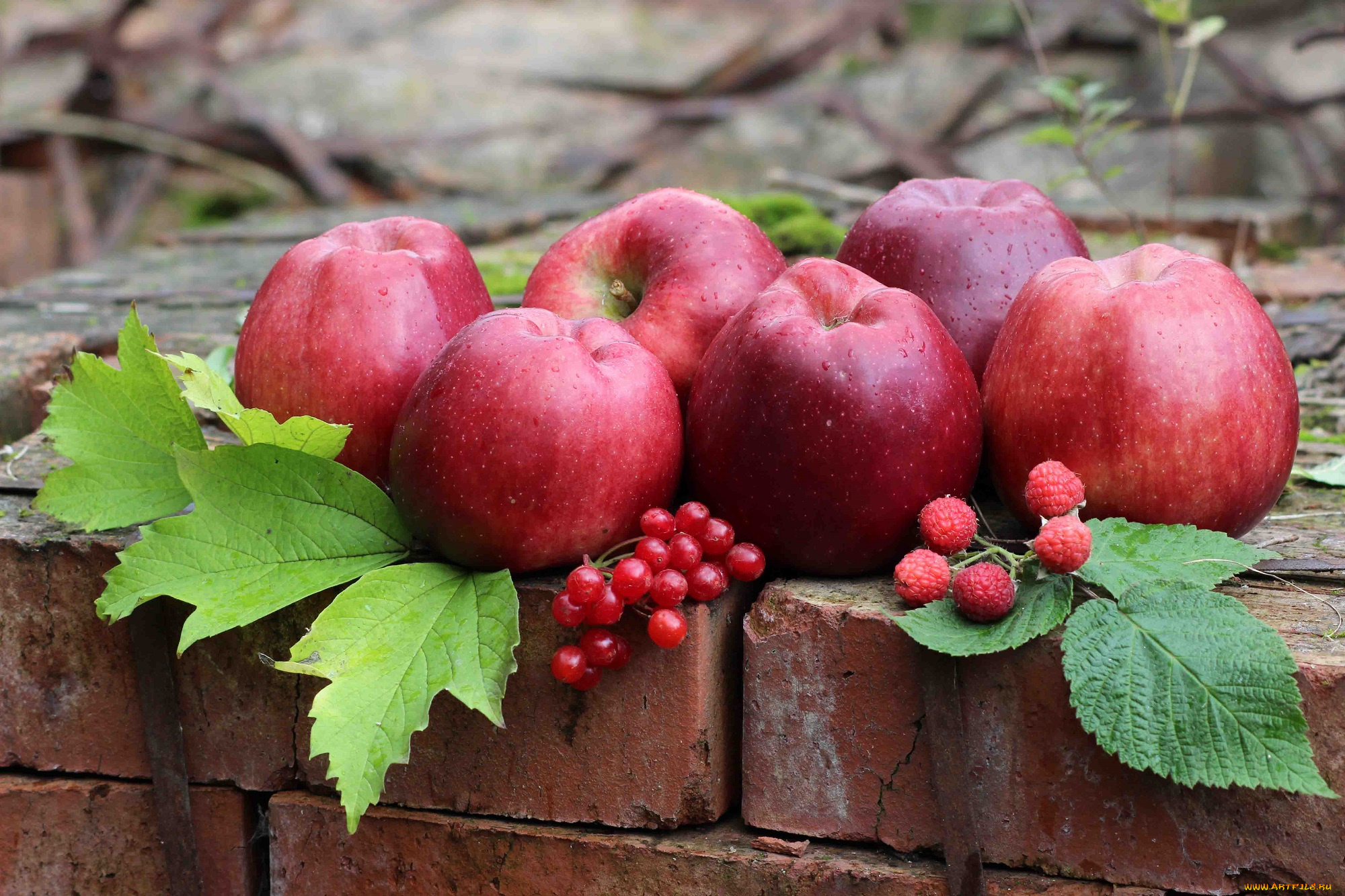 еда, Яблоки, яблоки, красные, ягода, малина, листья
