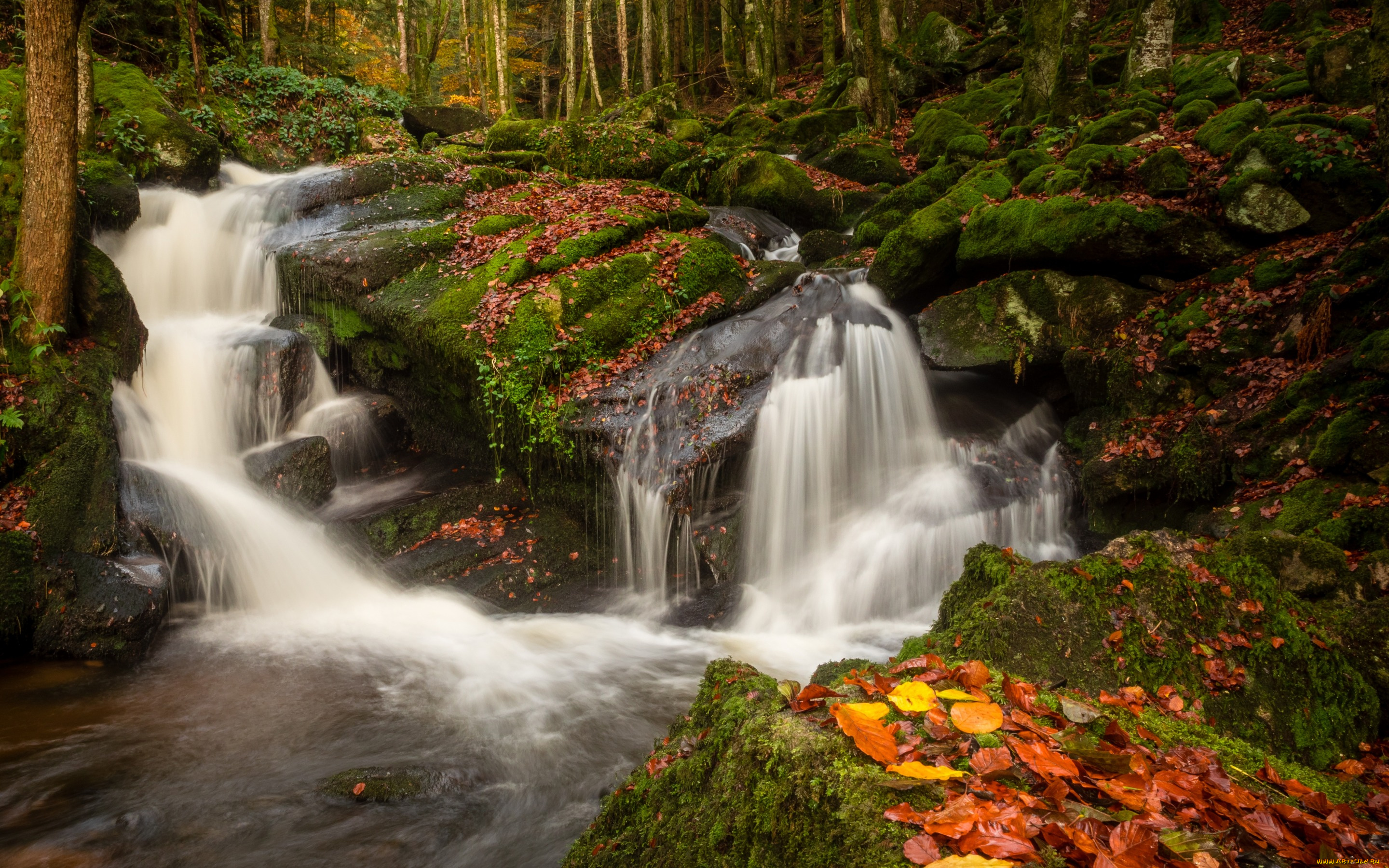 природа, водопады, ручей, камни, осень, лес, листья, деревья