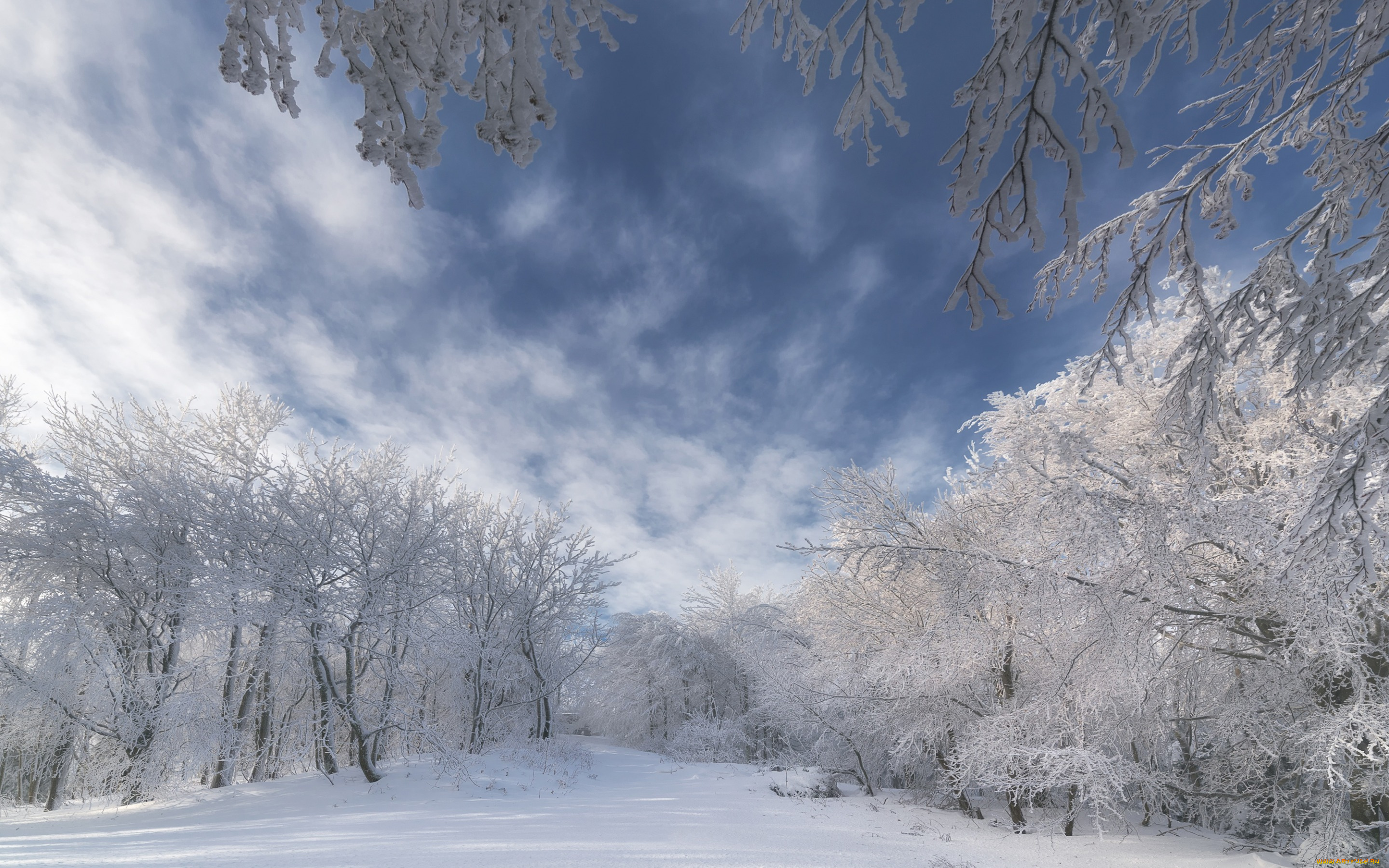 природа, зима, ветки, деревья, снег, небо