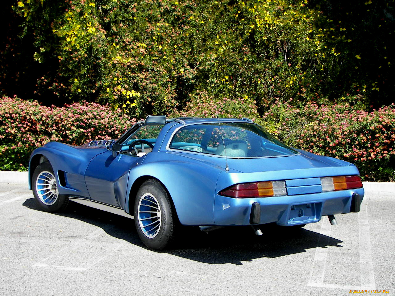 1976, corvette, custom, lr, автомобили