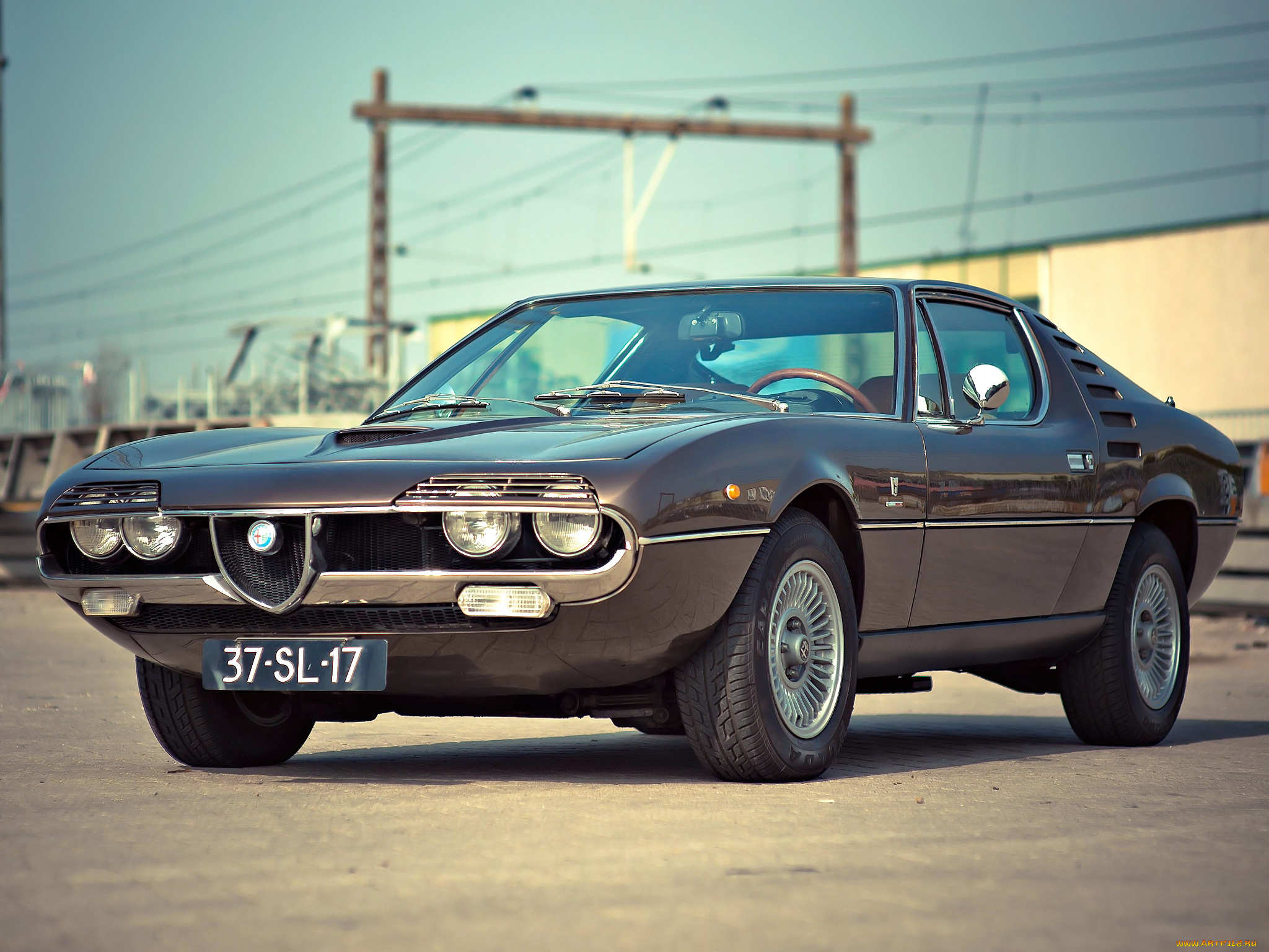 alfa, romeo, montreal, автомобили