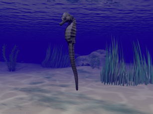 Картинка 3д графика sea undersea море морской конёк