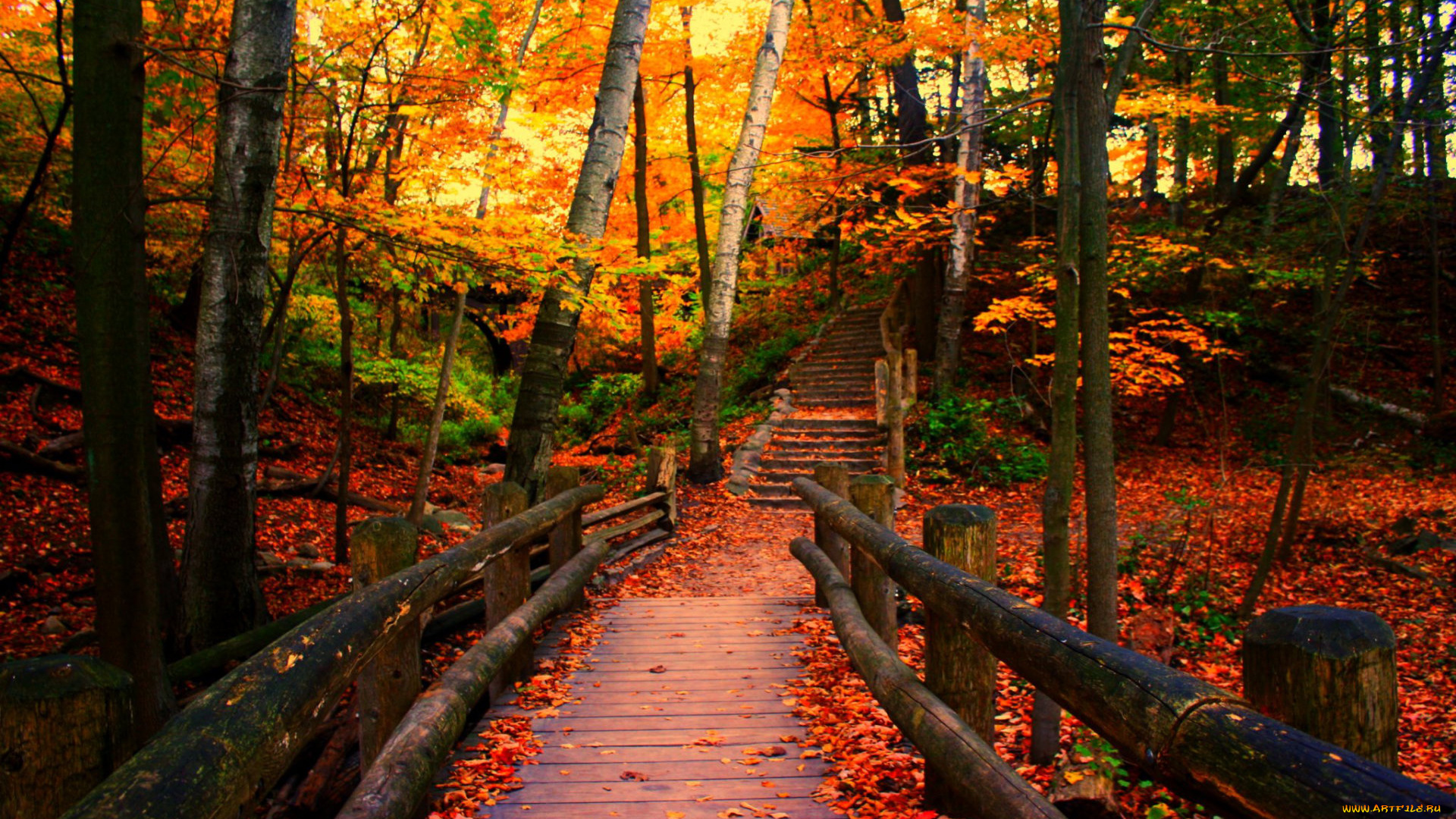 autumn, in, the, park, природа, дороги, краски, листва, деревья, парк, мостик, осень