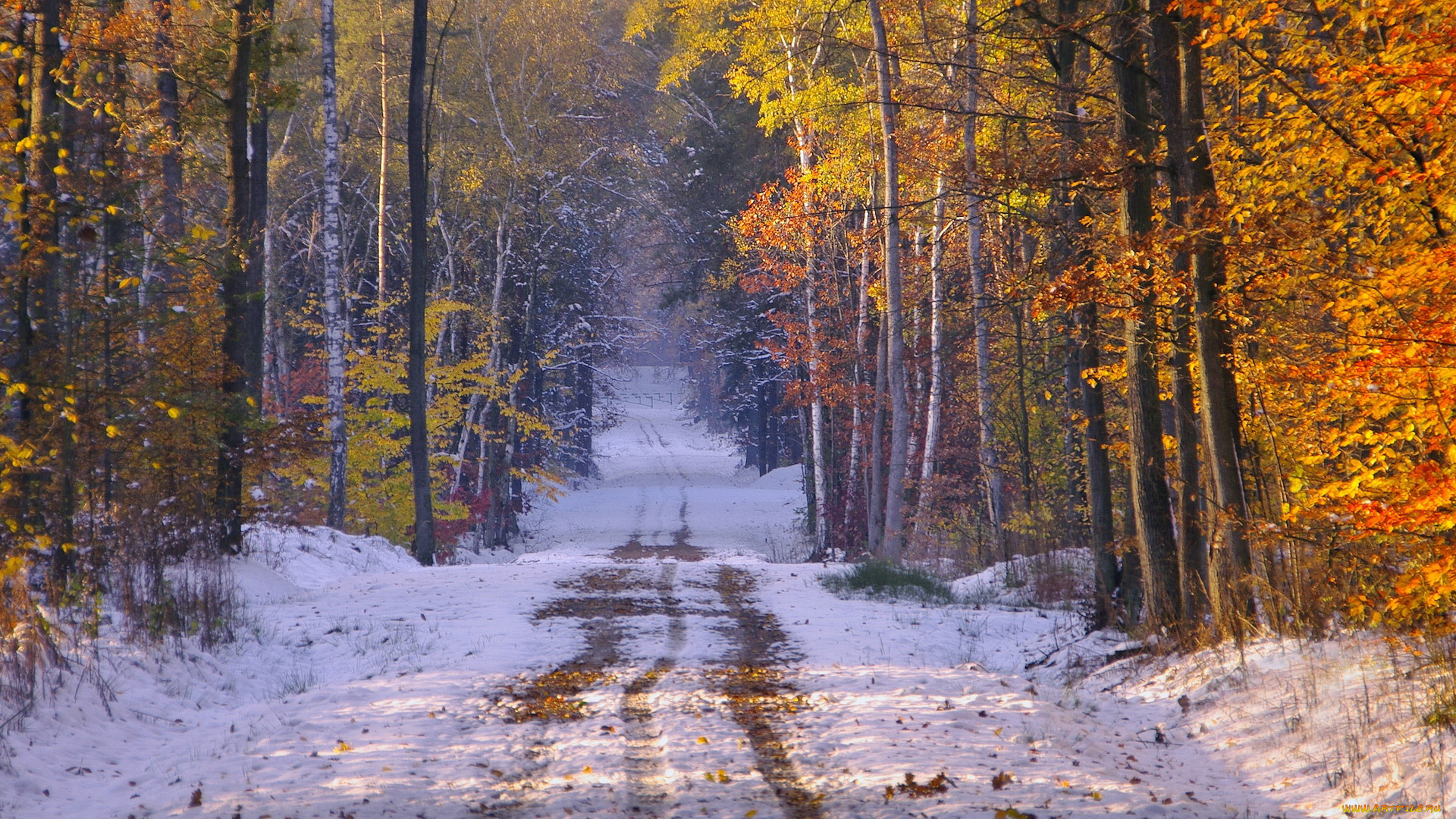 Ноябрьские картинки. Поздняя осень фото. Снежная осень. Осенний лес в ноябре. Поздняя осень снег.