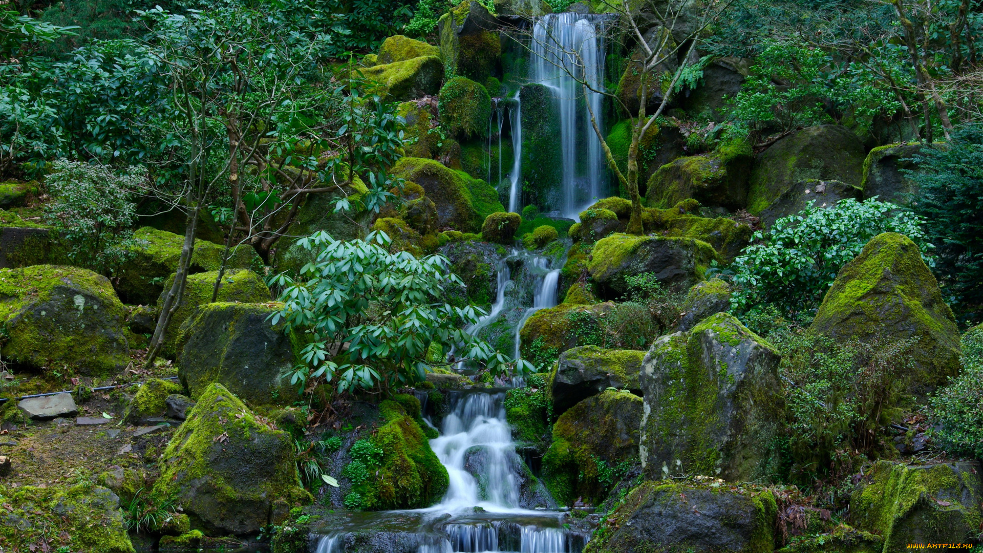 portland, japanese, garden, орегон, сша, природа, водопады, парк, водопад