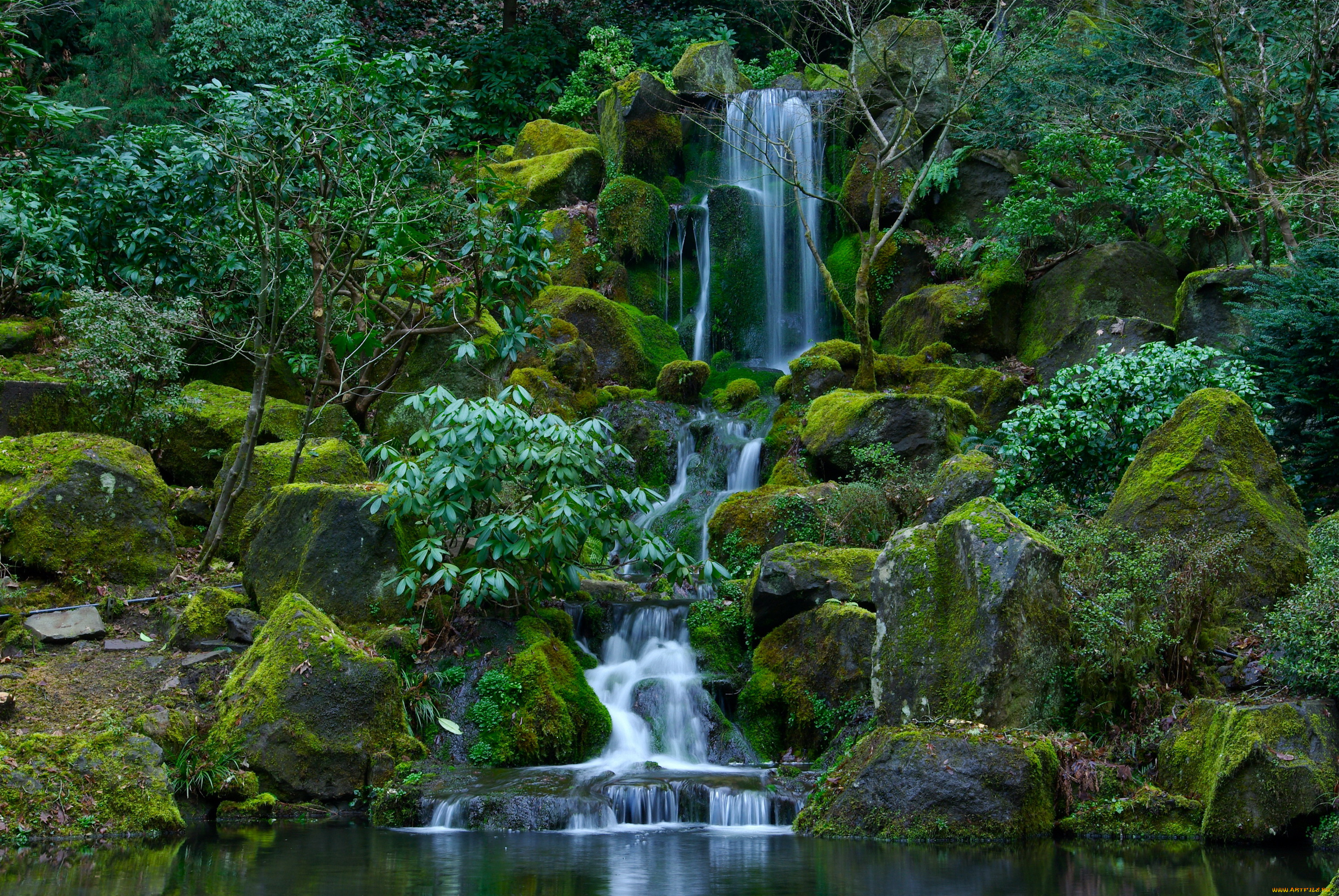 portland, japanese, garden, орегон, сша, природа, водопады, парк, водопад