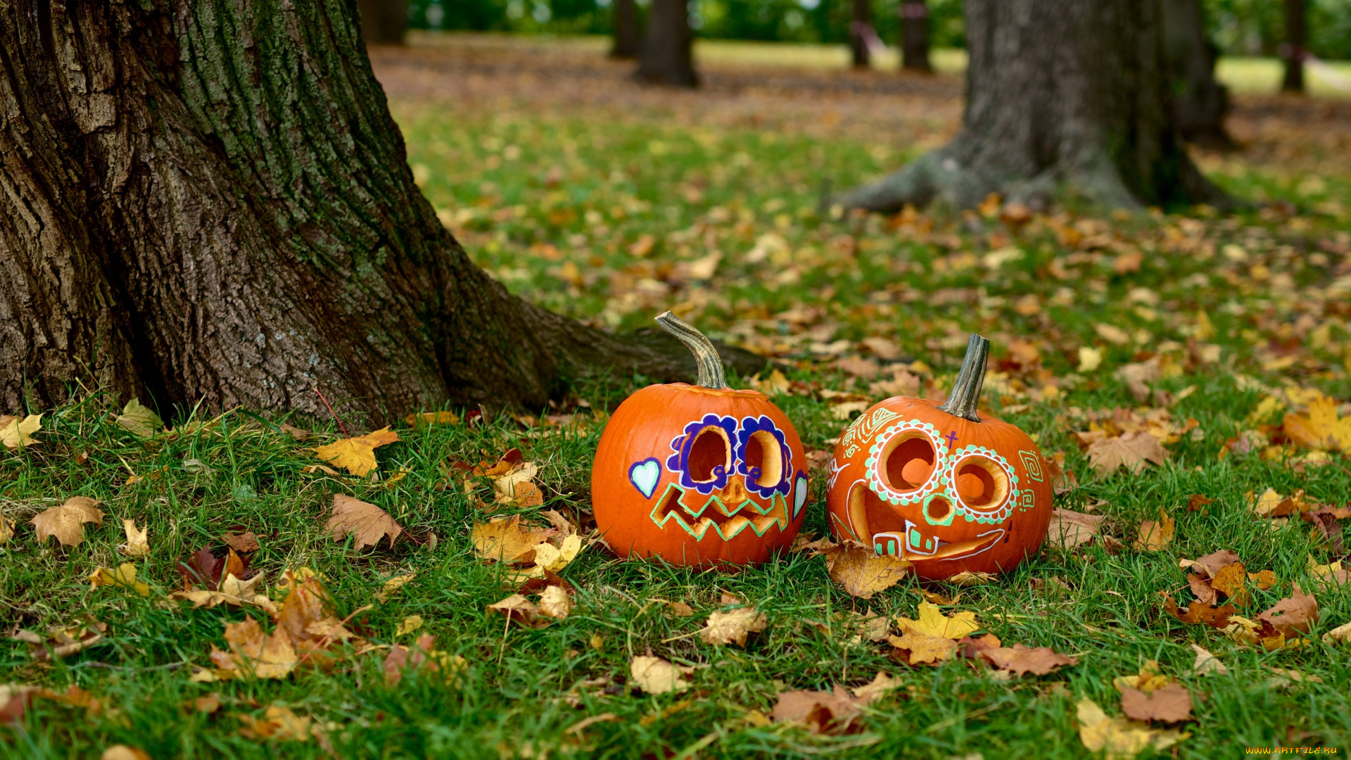 праздничные, хэллоуин, осень, праздник, головы, овощи, плоды, пара, тыквы, листья, трава, ствол, halloween, природа, дерево