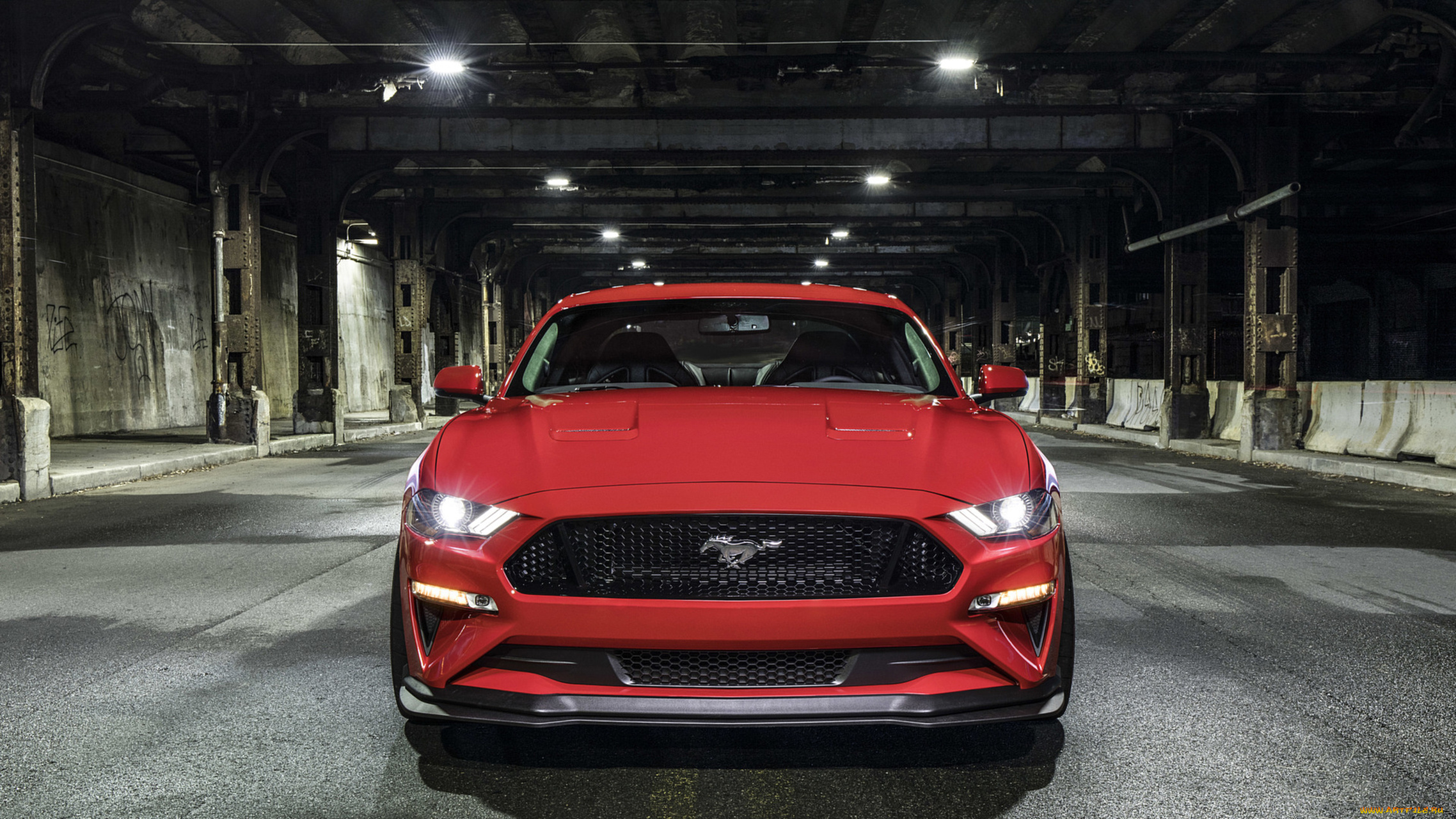 ford, mustang, gt, performance, pack, level-2, 2018, автомобили, mustang, ford, 2018, level-2, pack, performance, gt