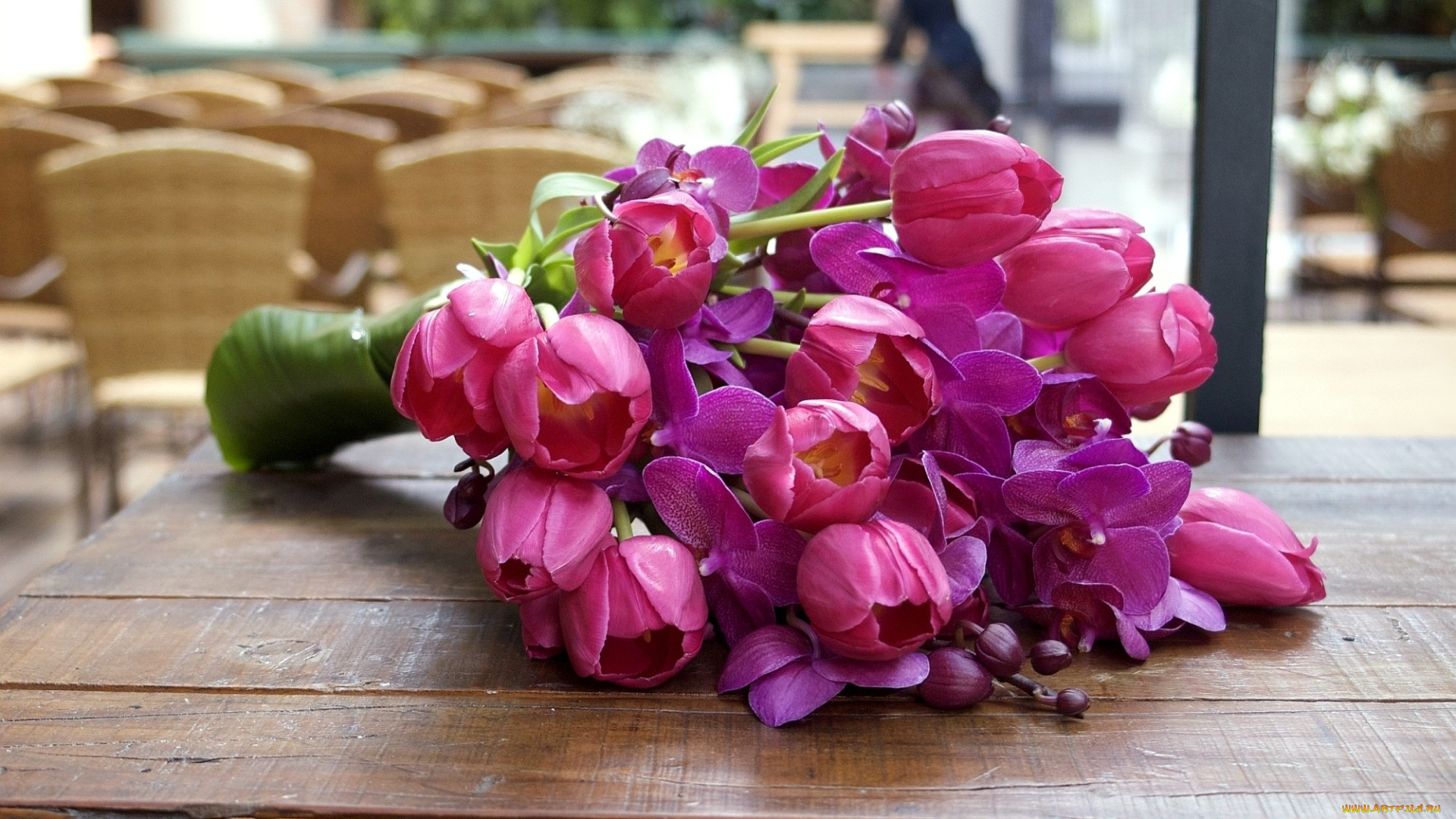 цветы, букеты, композиции, тюльпаны, орхидеи