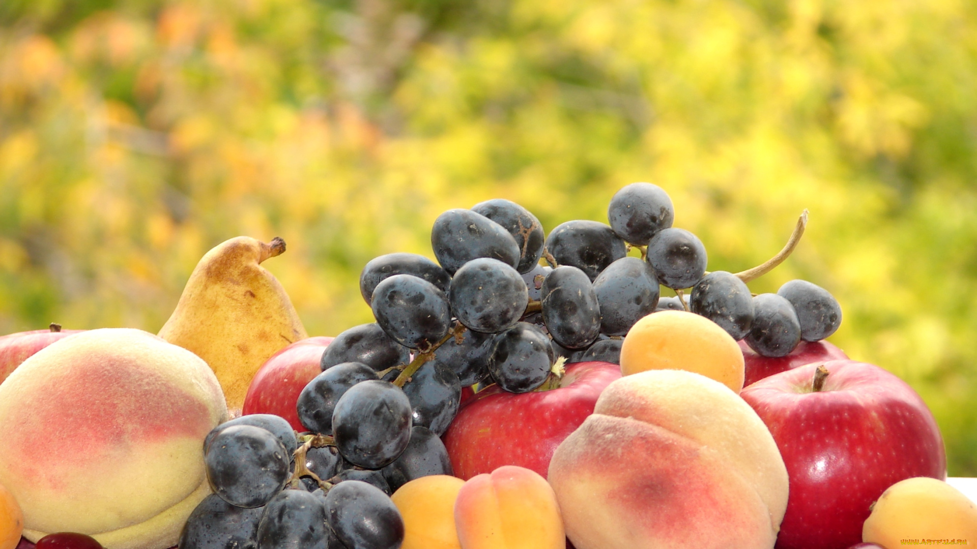 еда, фрукты, , ягоды, персики, кизил, абрикос, виноград