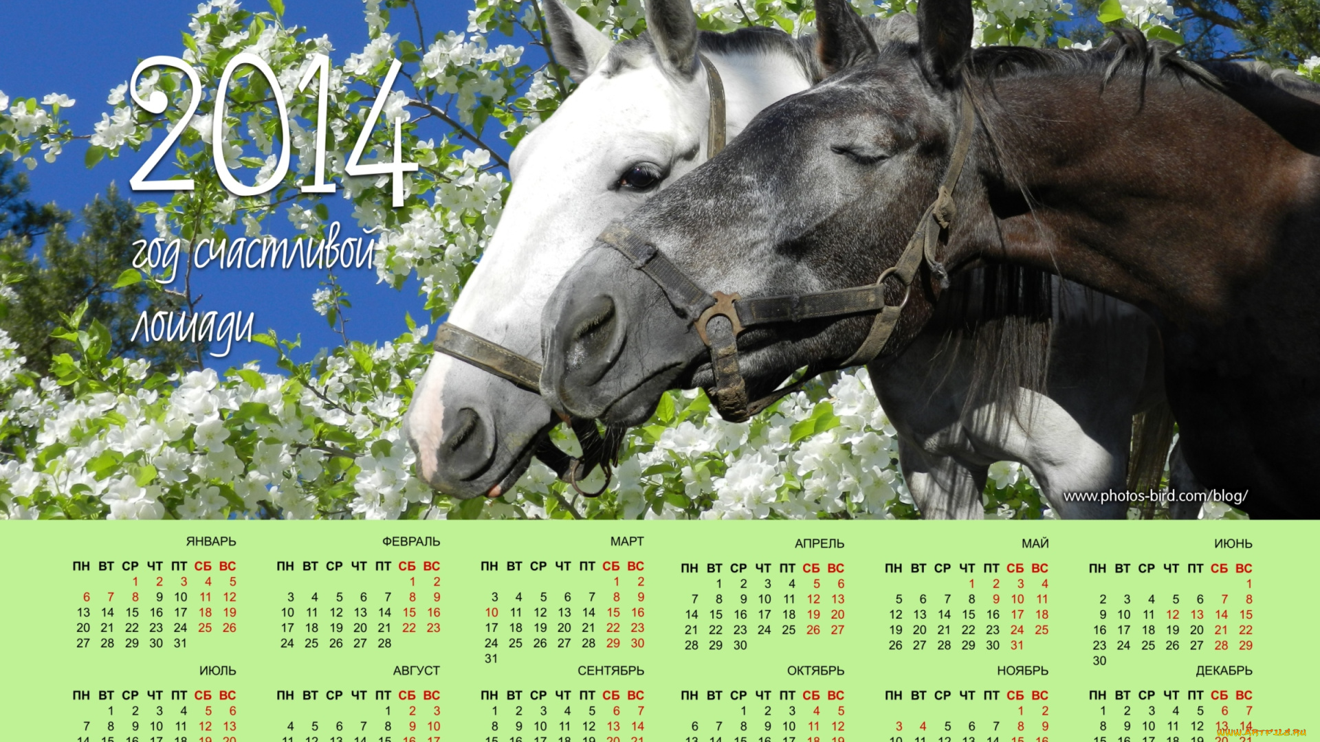 календари, животные, чувства
