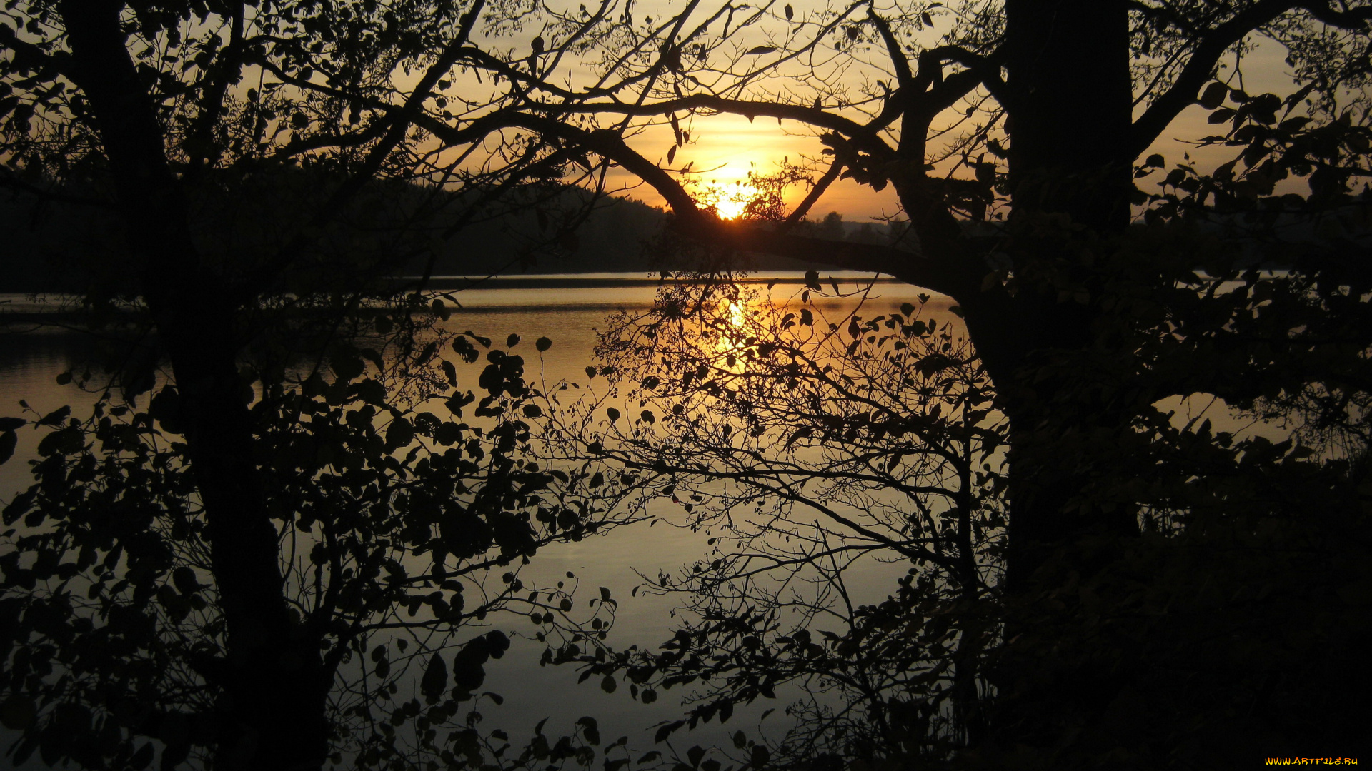 озеро, marchowo, польша, природа, восходы, закаты, деревья, закат, вечер, польша, озеро