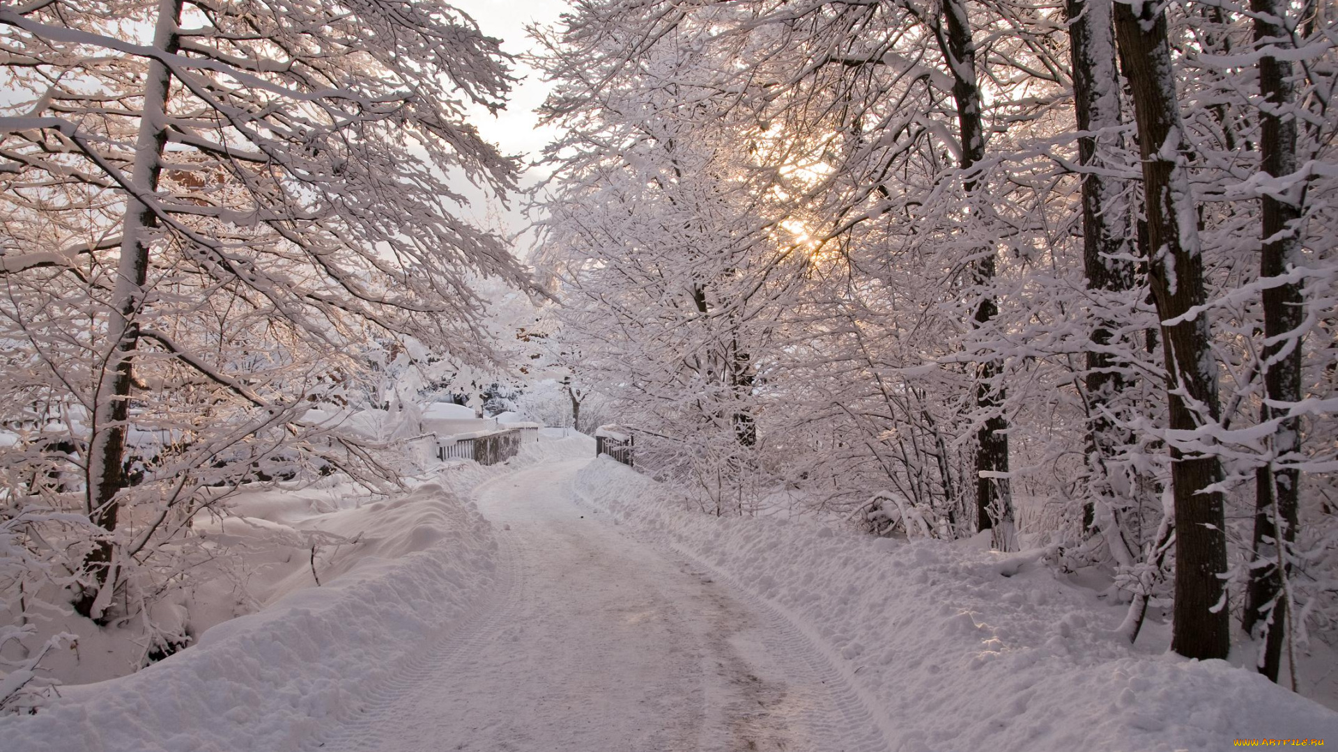 природа, зима, деревья, пейзаж, мост, дорога
