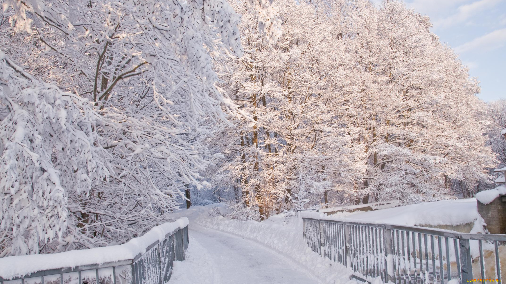 природа, зима, мост, снег, деревья