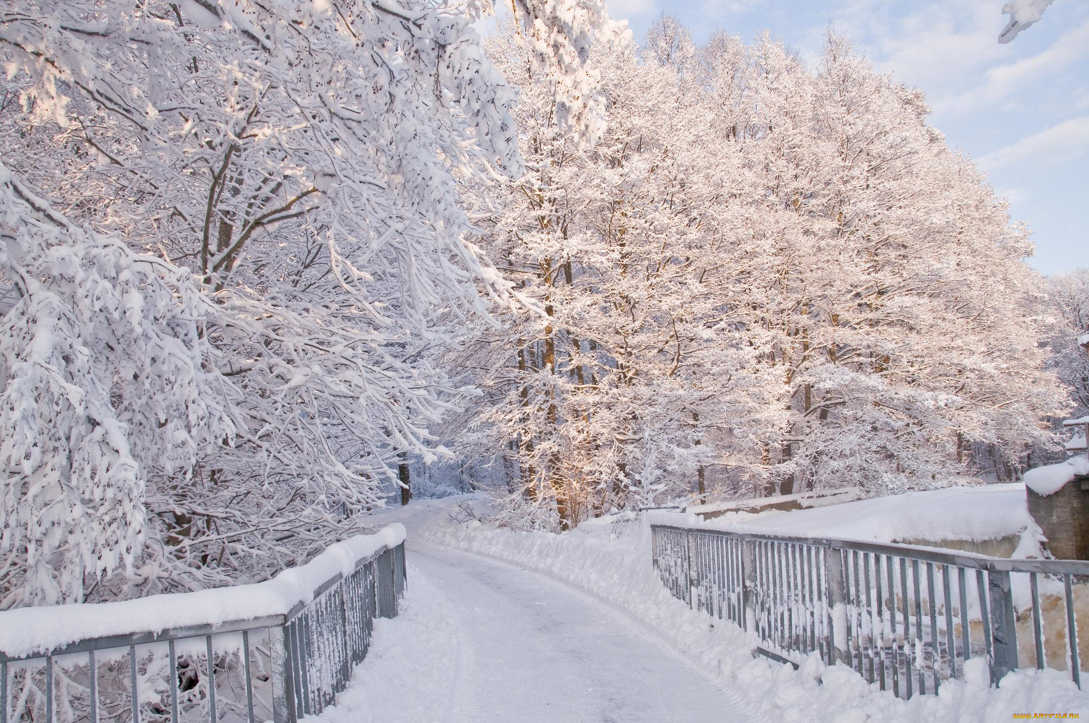 природа, зима, мост, снег, деревья
