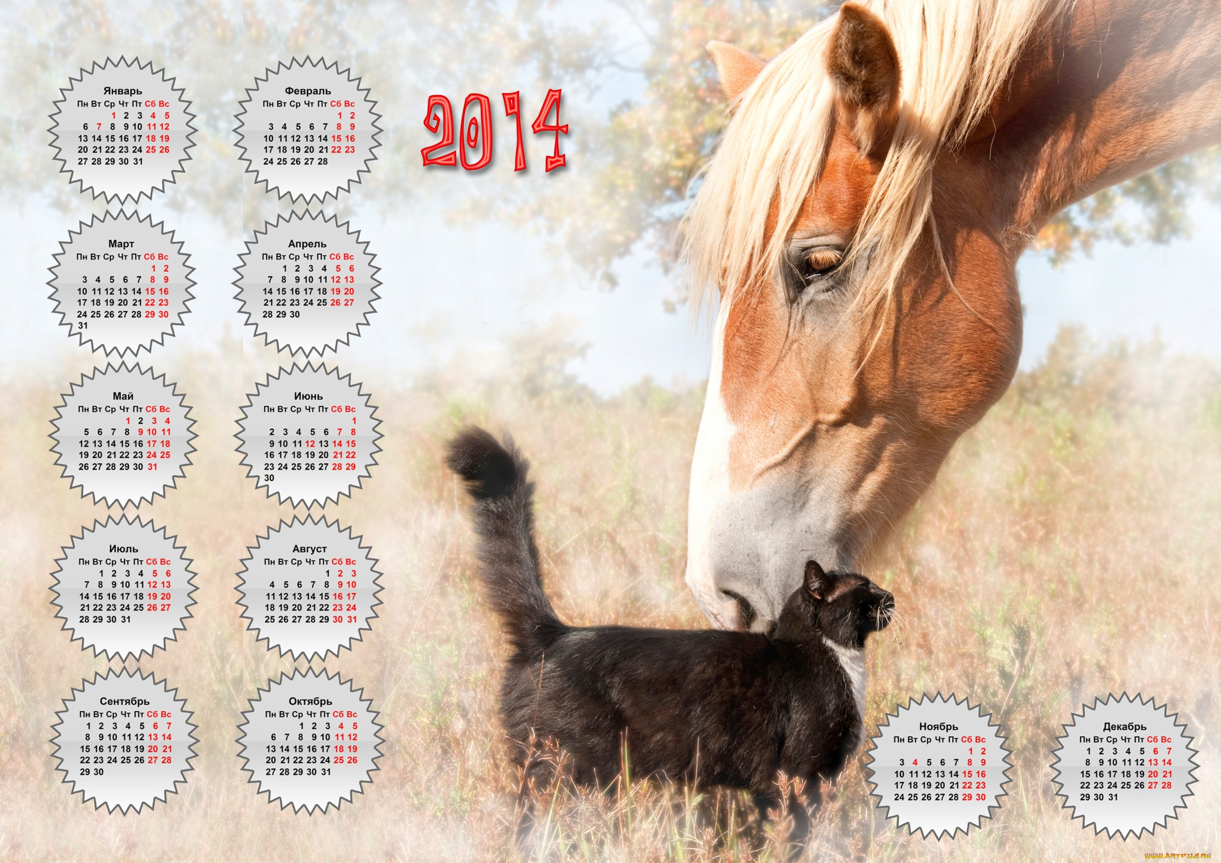 календари, животные, конь, кошка