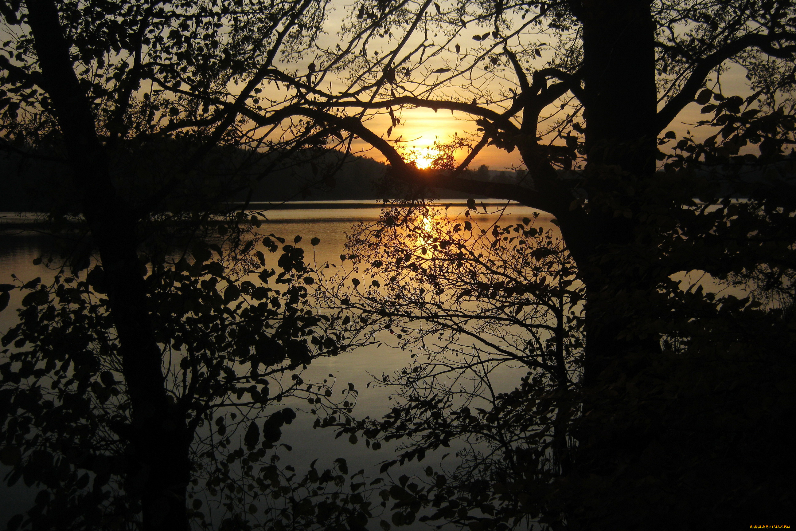 озеро, marchowo, польша, природа, восходы, закаты, деревья, закат, вечер, польша, озеро