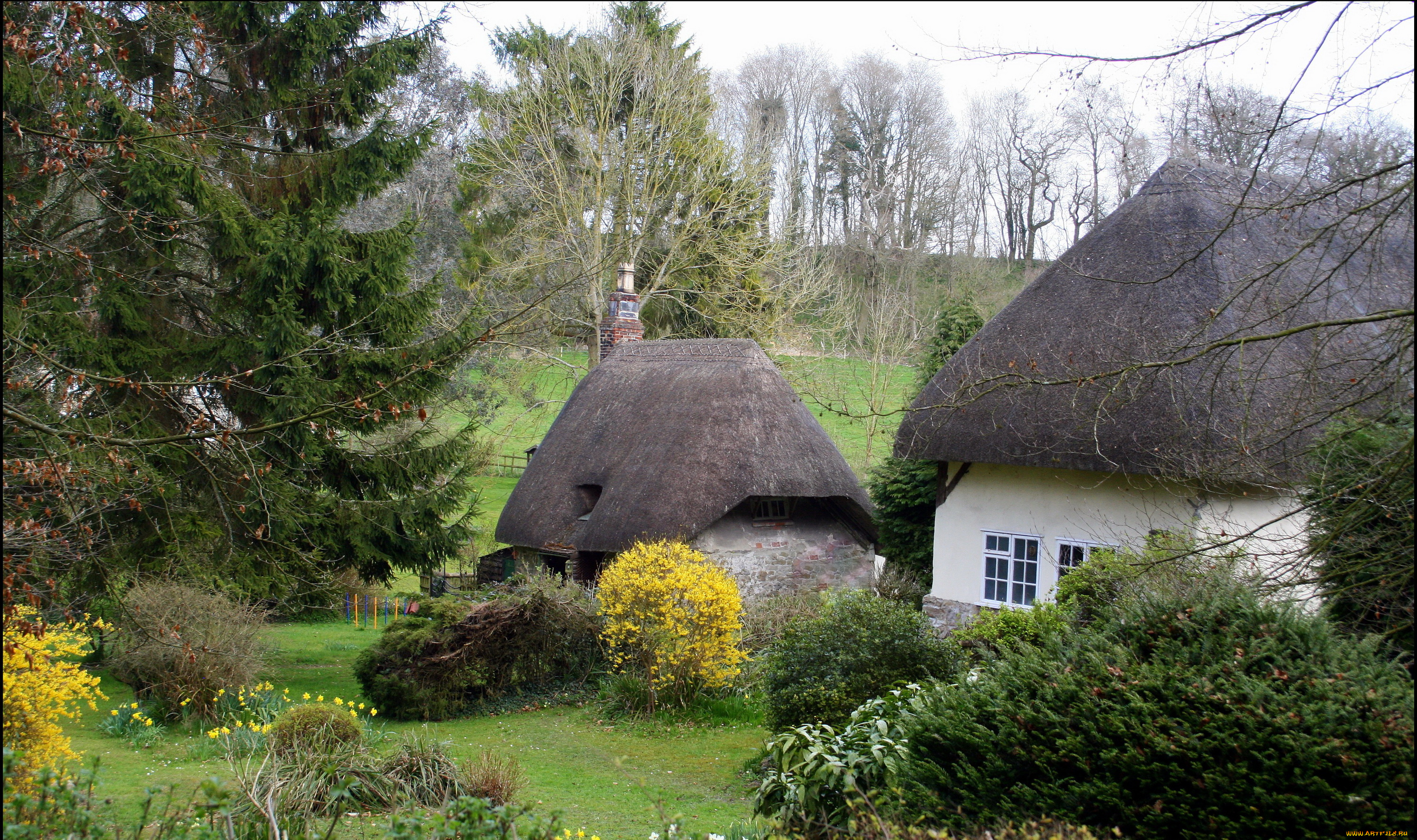 hodson, wiltshire, англия, города, -, пейзажи, кусты, деревья, англия, деревня, дома