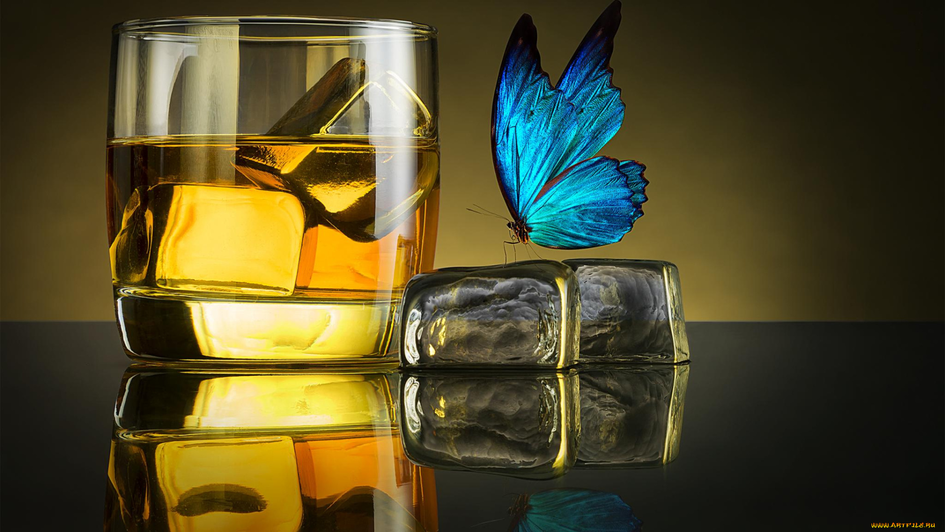 butterfly, drink, еда, напитки, бабочка, виски, лед, бокал