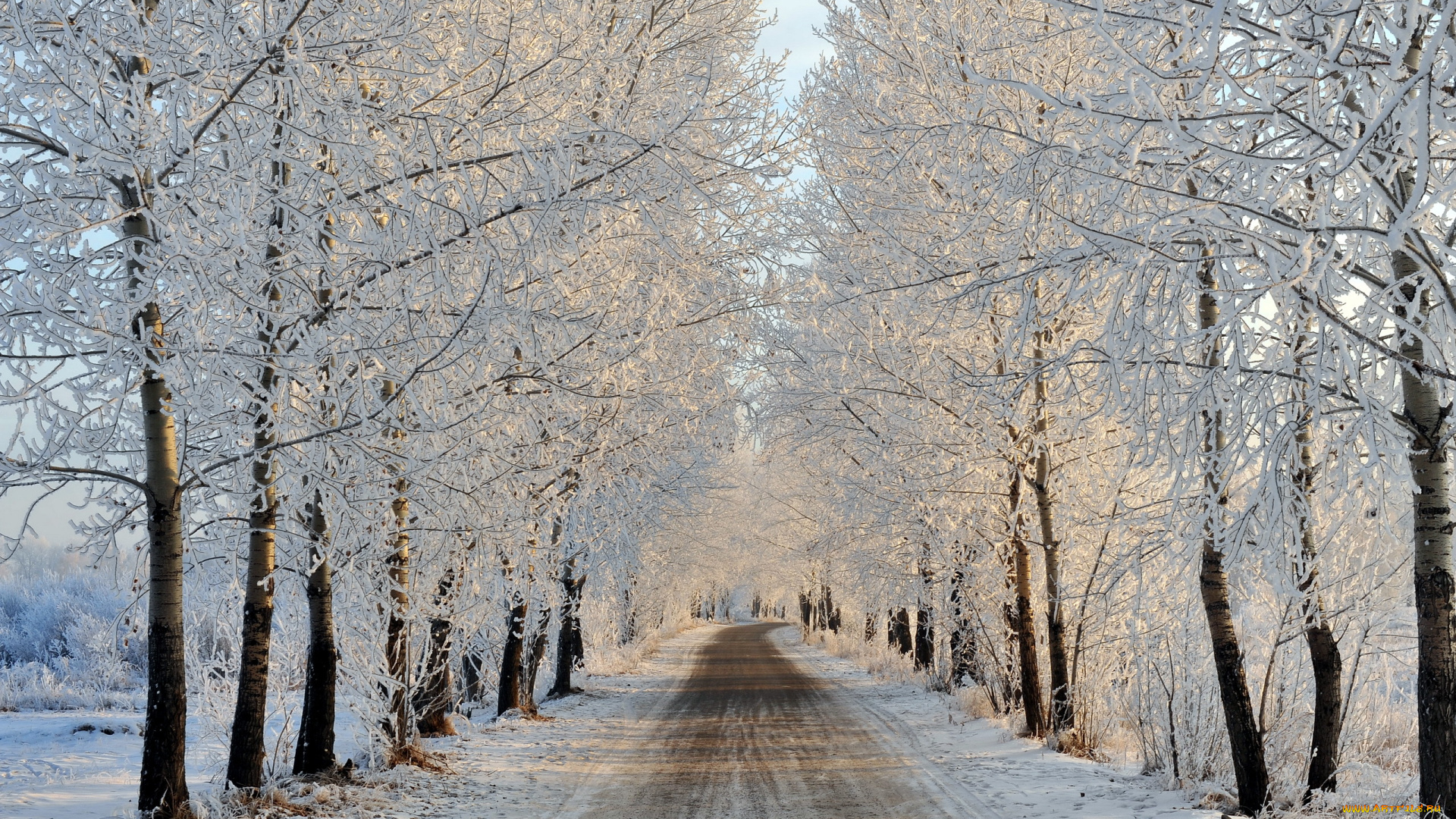 природа, зима, иней, деревья, дорога