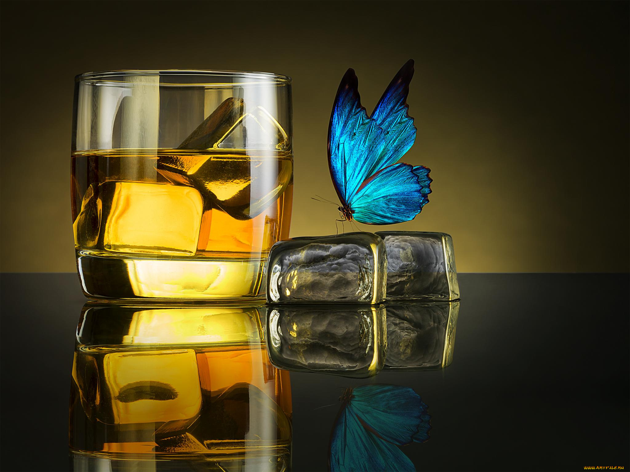 butterfly, drink, еда, напитки, бабочка, виски, лед, бокал