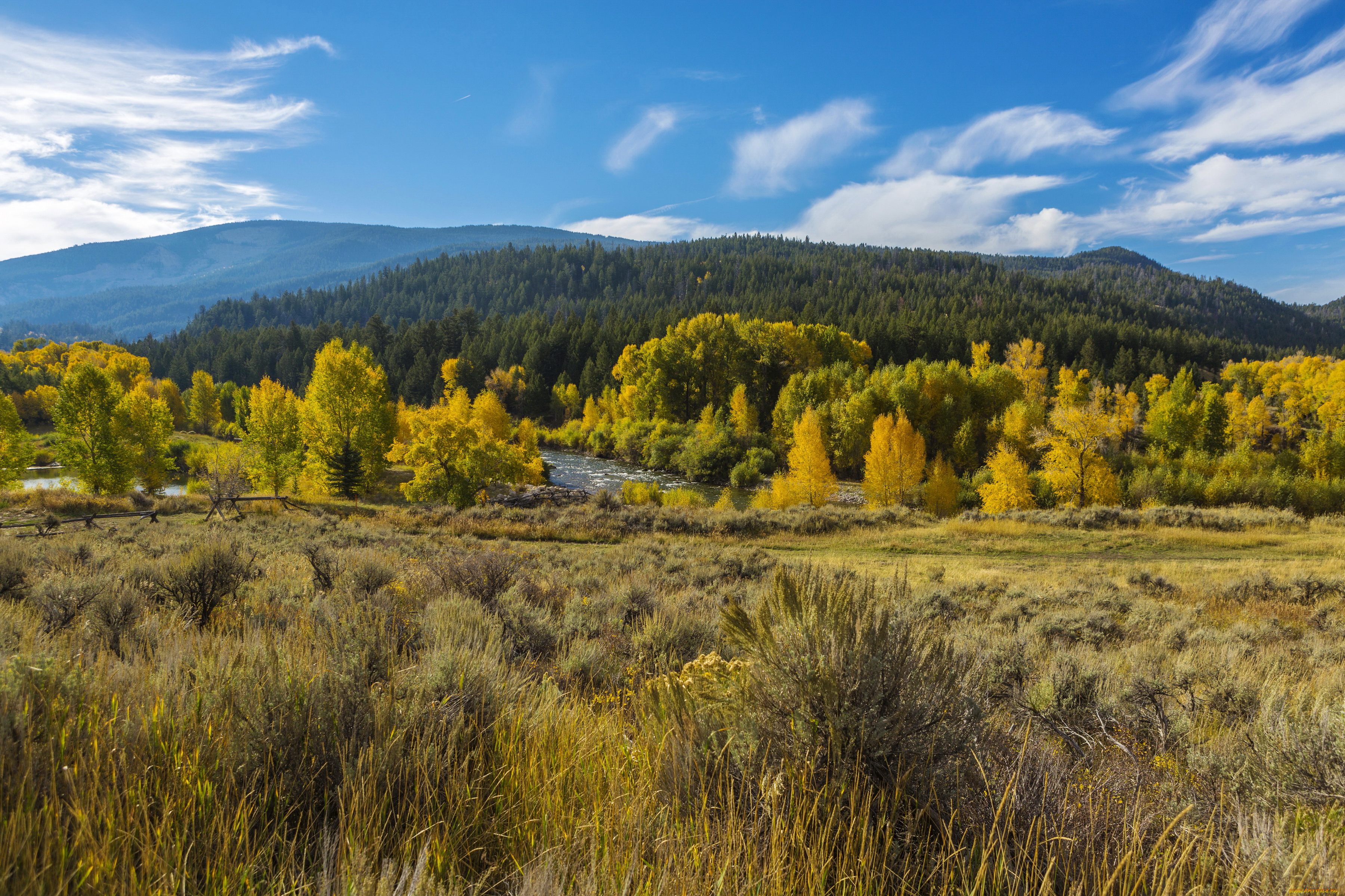 grand, teton, national, park, wyoming, природа, лес, пейзаж, реки, горы, леса, сша, парк