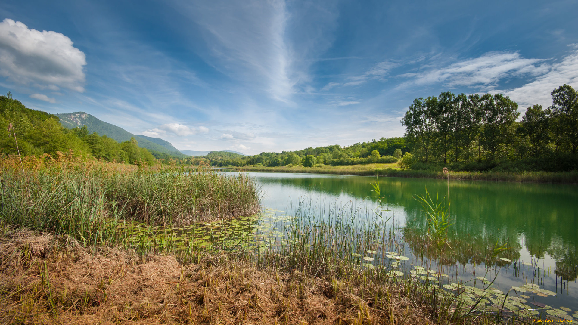 природа, реки, озера, река, лес