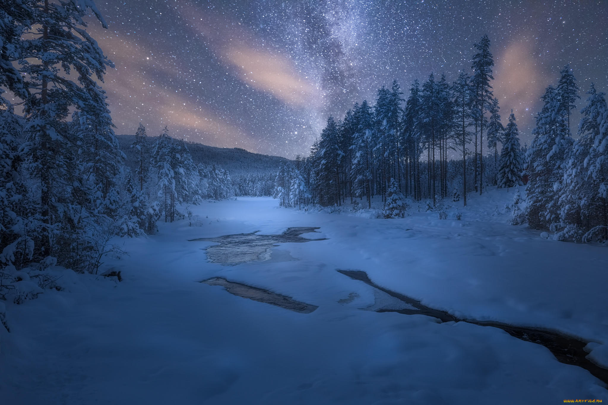 Наступает ночь темнеет. Зимняя ночь. Зимний лес ночью. Зимний ночной пейзаж. Снежный лес ночью.